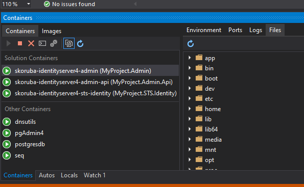 Container Explorer in Visual Studio
